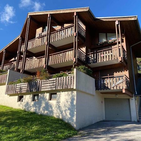 Studio 4 Couchages Avec Garage Proche Pistes - Fr-1-459-55 La Clusaz Exterior foto