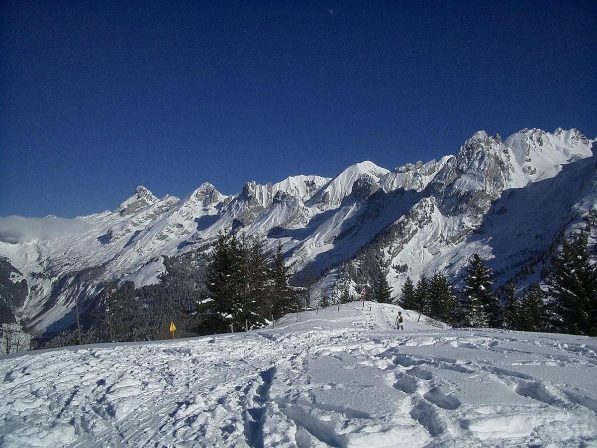Studio 4 Couchages Avec Garage Proche Pistes - Fr-1-459-55 La Clusaz Exterior foto
